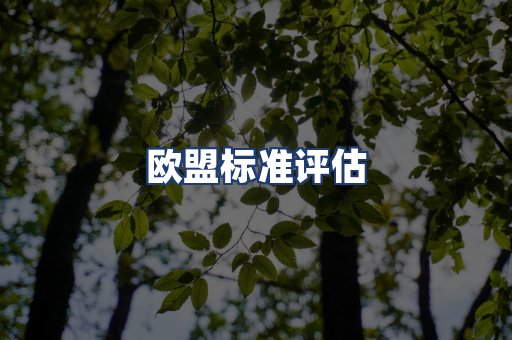 欧盟标准评估