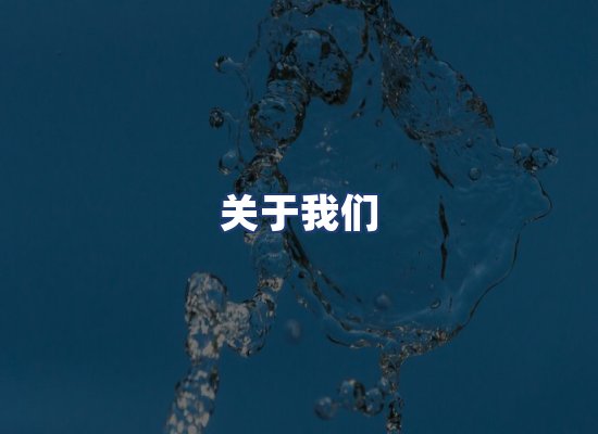 关于我们
